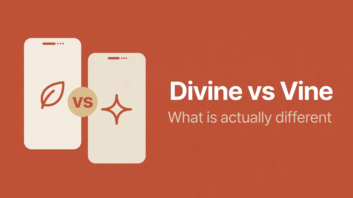 Divine vs Vine: What's Actually Different